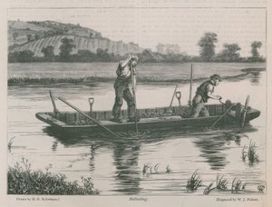 Ballastieren auf der Themse
