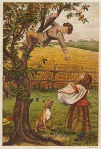 Äpfel pflücken