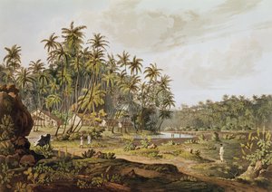 Ansicht in der Nähe von Point du Galle, Ceylon, graviert von Daniel Havell (1785-1826), veröffentlicht 1809 von Henry Salt