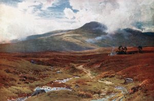 Ein Moor nahe Killin, Perthshire