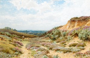 Heidekraut auf einer Heide in Surrey von Henry Sutton Palmer