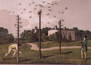Eulerei, graviert von I. Clark, veröffentlicht von T. McLean, London von Henry Thomas (after) Alken