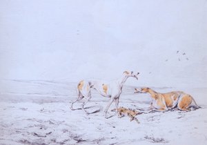 Coursing, Ein Paar