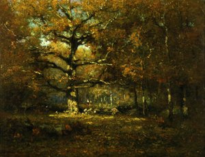 Connecticut Wälder