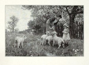 In der Gärtnerei von Henry Wolf