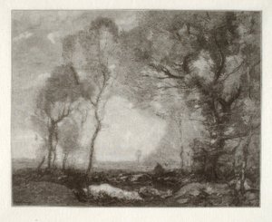Landschaft von Henry Wolf