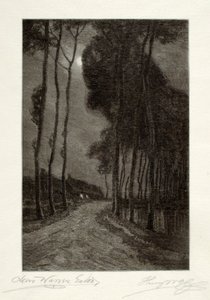 Mondschein in Holland