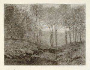 Sommermorgen von Henry Wolf