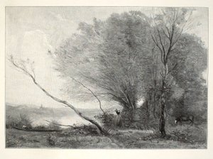 Der gebogene Baum von Henry Wolf
