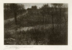 Der Abendstern (Motiv in den Catskills gefunden) von Henry Wolf