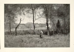 Holzsammler