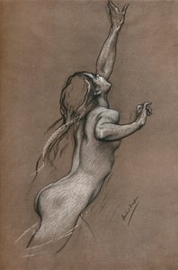Fliegender Fisch Studie, um 1910