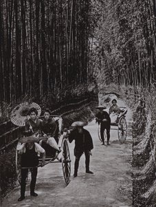 Eine Bambusallee in Kyoto von Herbert Ponting