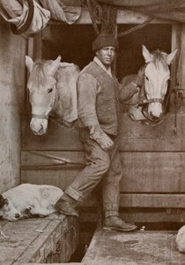 Kapitän Oates und Ponys auf der Terra Nova