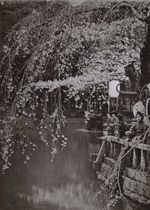 Kirschblütenzeit in Japan von Herbert Ponting