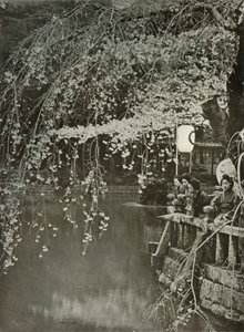 Kirschblütenzeit in Japan, 1910