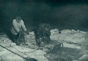 Dr. Atkinson und Clissold ziehen die Fischfalle hoch, 28. Mai 1911, 1913 von Herbert Ponting