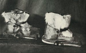 Finnesko mit den oben gezeigten Skischuhen ausgestattet, ca. 1910-1913, 1913 von Herbert Ponting