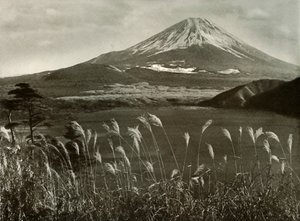 Fuji und das Kaia-Gras, 1910 von Herbert Ponting