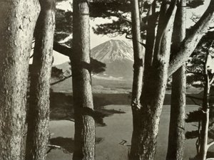 Fuji und die Kiefern, 1910 von Herbert Ponting