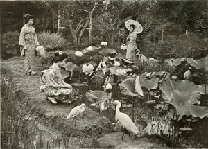 Im Lotus-Land, 1910 von Herbert Ponting