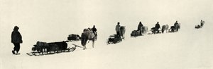 Ponys auf dem Marsch, 1911, 1913