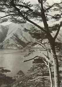 Das Hotel am See, Shoji, 1910
