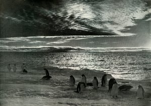 Die Mitternachtssonne im McMurdo-Sund, um 1910-1913, 1913