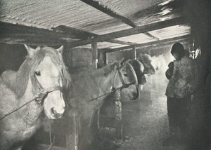 Die Ställe im Winter, um 1910-1911, 1913 von Herbert Ponting