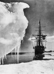 Die Terra Nova
