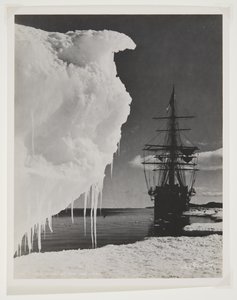 Die Terra Nova am Eisfuß