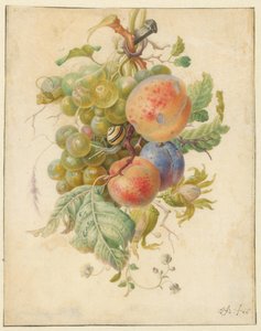 Fruchtfeston