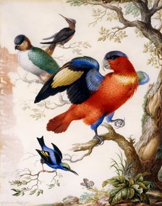 Vier Vögel im Wald von Herman Henstenburgh
