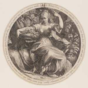 Flora von Herman Jansz. Muller
