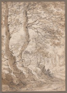 Ein Waldinneres mit einer sitzenden Figur von Herman Saftleven