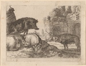 Schweine