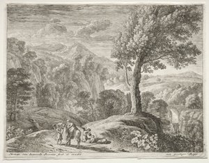 Der große Baum und der Wasserfall