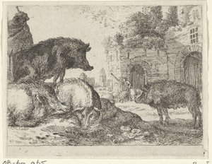 Schweine
