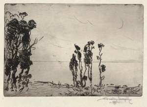 Küstenlandschaft