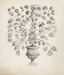 Stammbaum des Hauses Oranien-Nassau von Hermanus Johannes Abbring