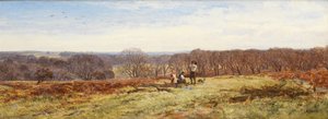 Im New Forest, Hampshire