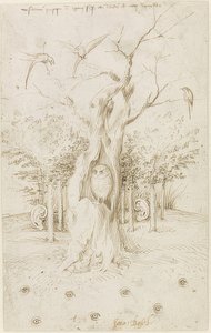 Das Feld hat Augen, der Wald hat Ohren