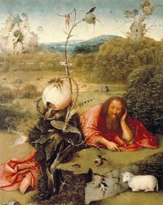 Johannes der Täufer schlief in der Natur von Hieronymus Bosch