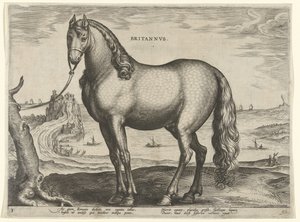 Pferd aus der Bretagne von Hieronymus Wierix