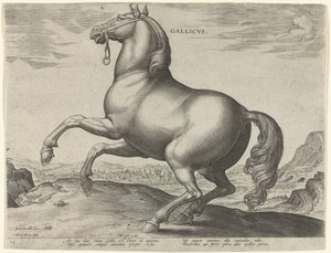 Pferd aus Frankreich von Hieronymus Wierix