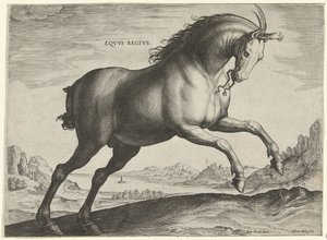 Pferd der Rasse Equus Regius (der Königliche)