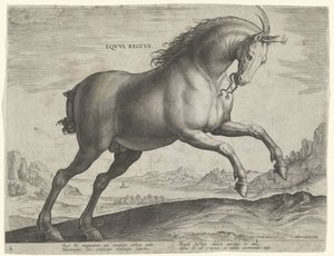 Pferd der Rasse Equus Regius (der Königliche)