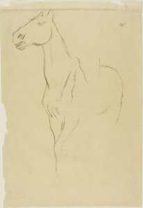 Pferd im Dreiviertelprofil
