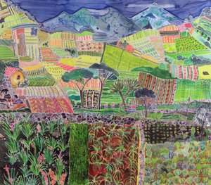 Kohl und Lilien wieder besucht, Guatemala, 2006 von Hilary Simon
