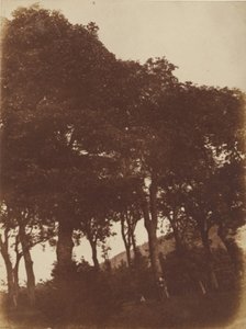 [Feld bei Bonaly]